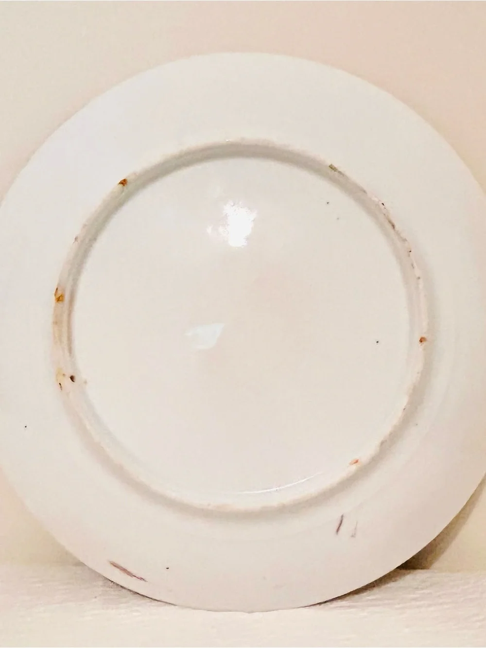 Antique Porcelain Floral Plate with Pink Rose Motif and Gold Gilded Edges